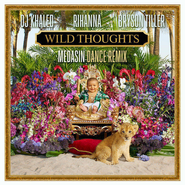 Wild Thoughts (Medasin Dance Remix)