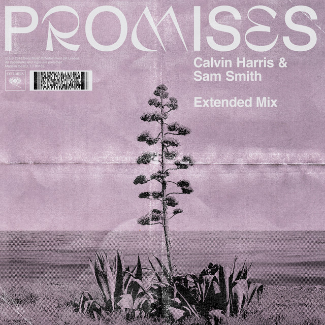 Promises (with Sam Smith) [Extended Mix]