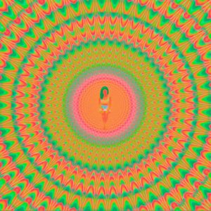 Trip